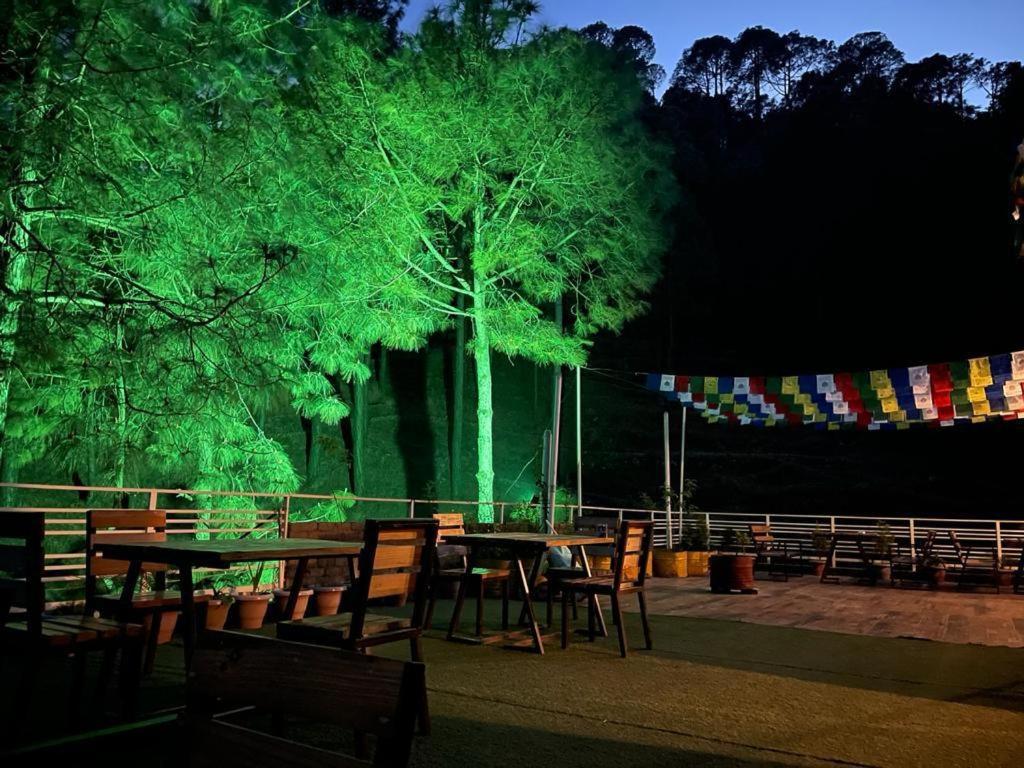 Bed and Breakfast Hillcrest Heights Kasauli Zewnętrze zdjęcie