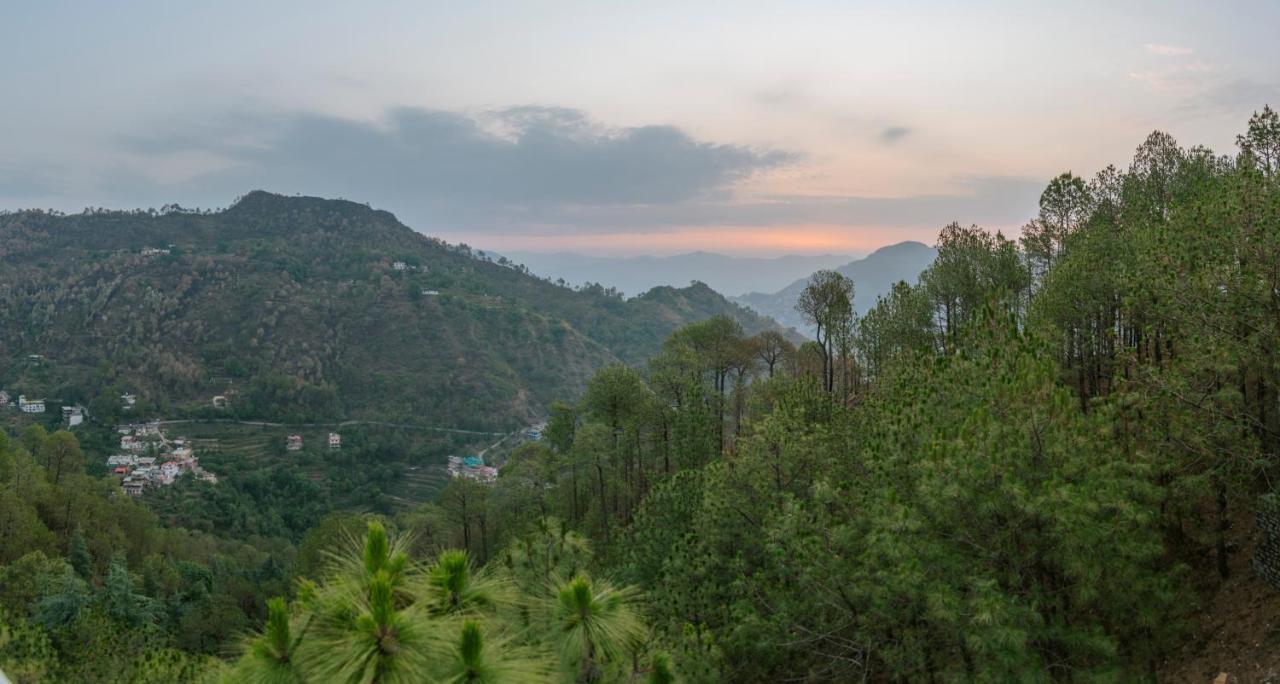 Bed and Breakfast Hillcrest Heights Kasauli Zewnętrze zdjęcie
