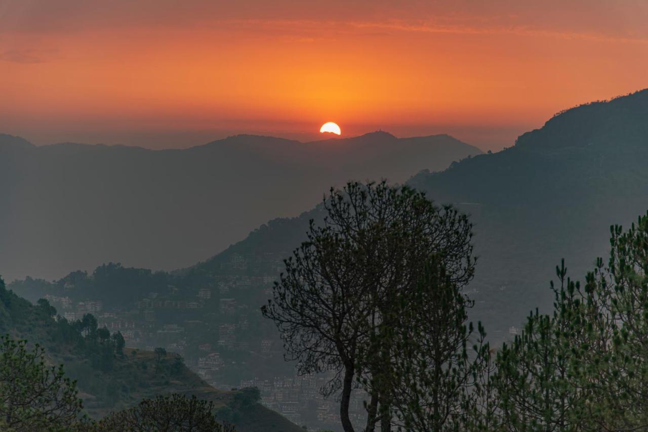 Bed and Breakfast Hillcrest Heights Kasauli Zewnętrze zdjęcie